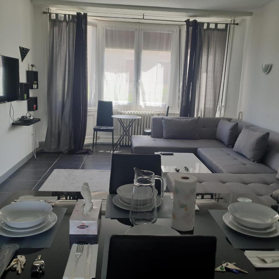 Appartement T2 Courte Duree Coup De Coeur Toute A 5 Minutes Сент Етиен Екстериор снимка